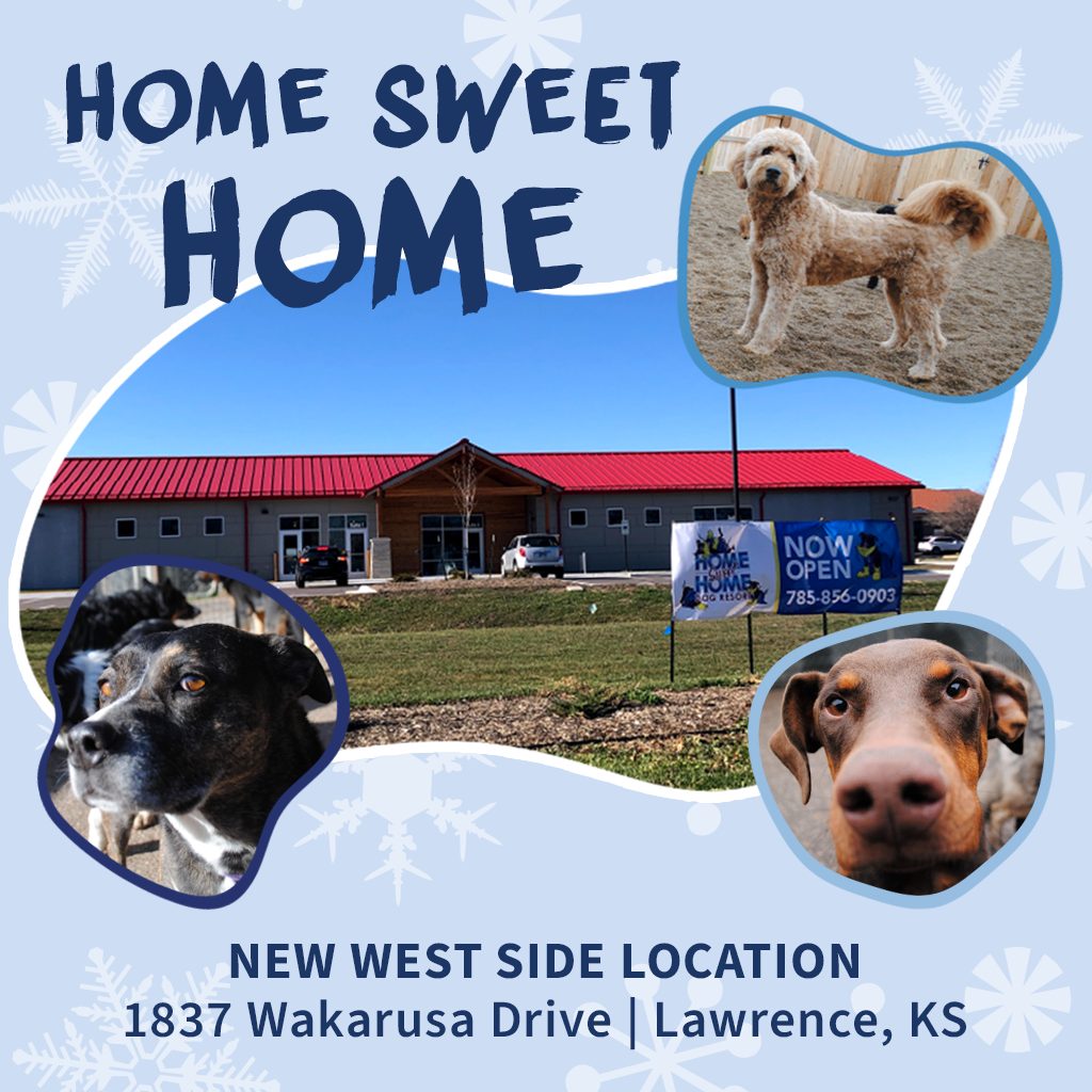 home sweet home dog resort wakarusa