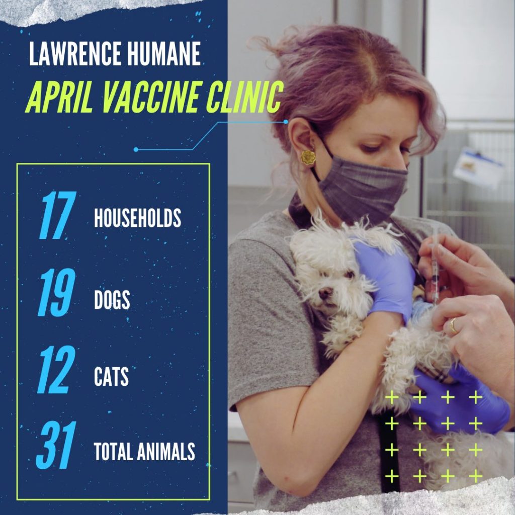 Humane society best sale vaccination prices