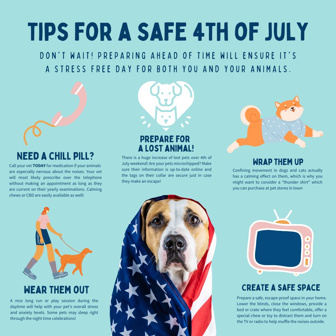 Tips For a Safe 4th of July Lawrence Humane