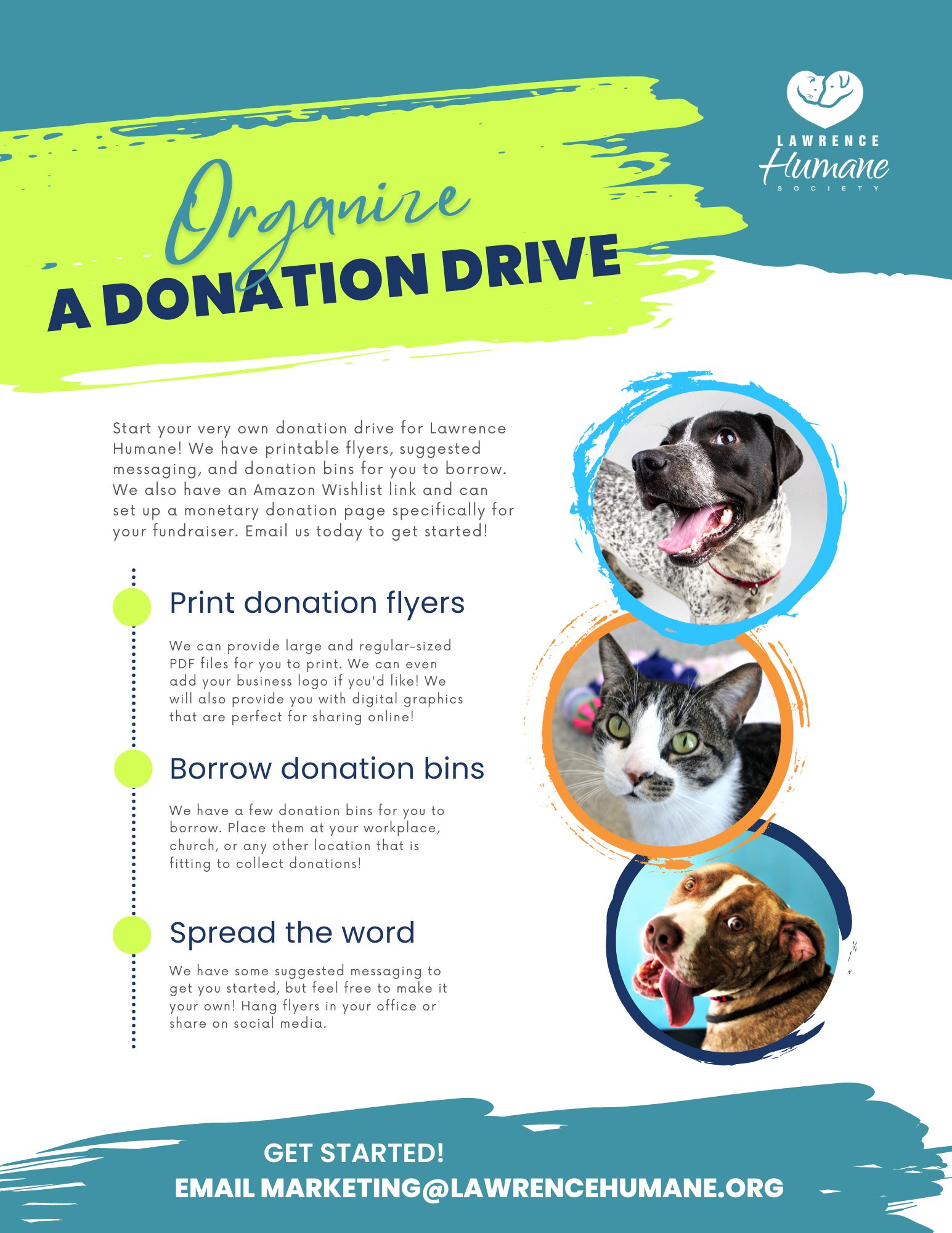 can-you-donate-open-bags-of-dog-food