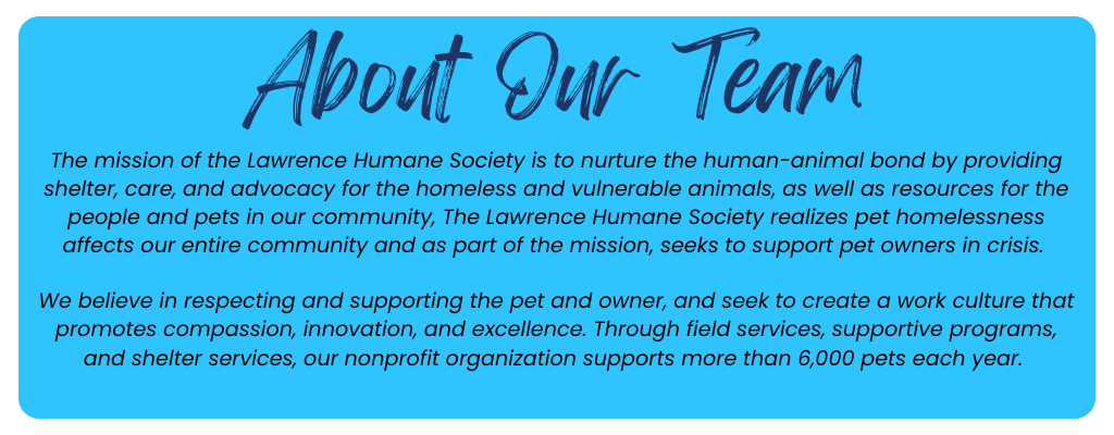 About Our Team About Our Team