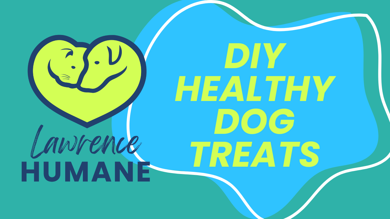 DIY Healthy Dog Treats