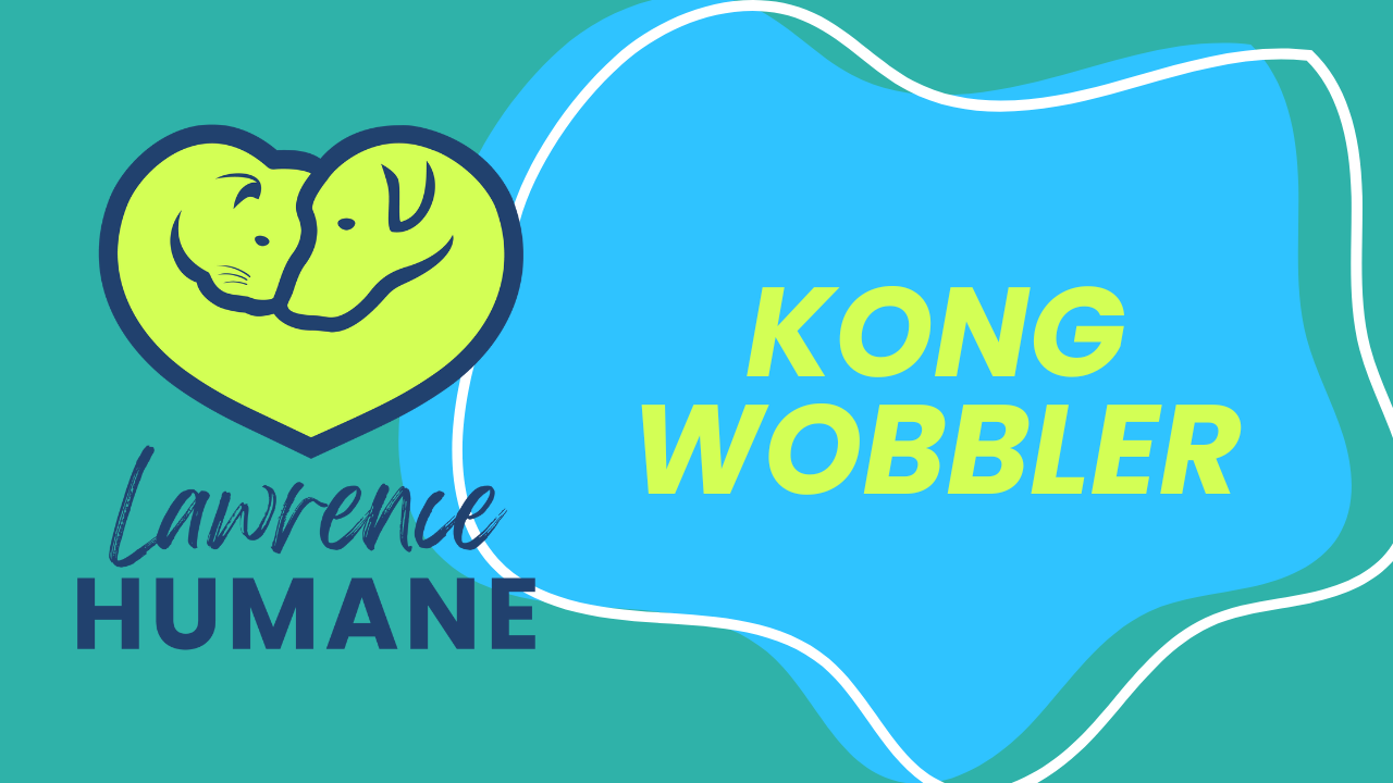 Kong Wobbler